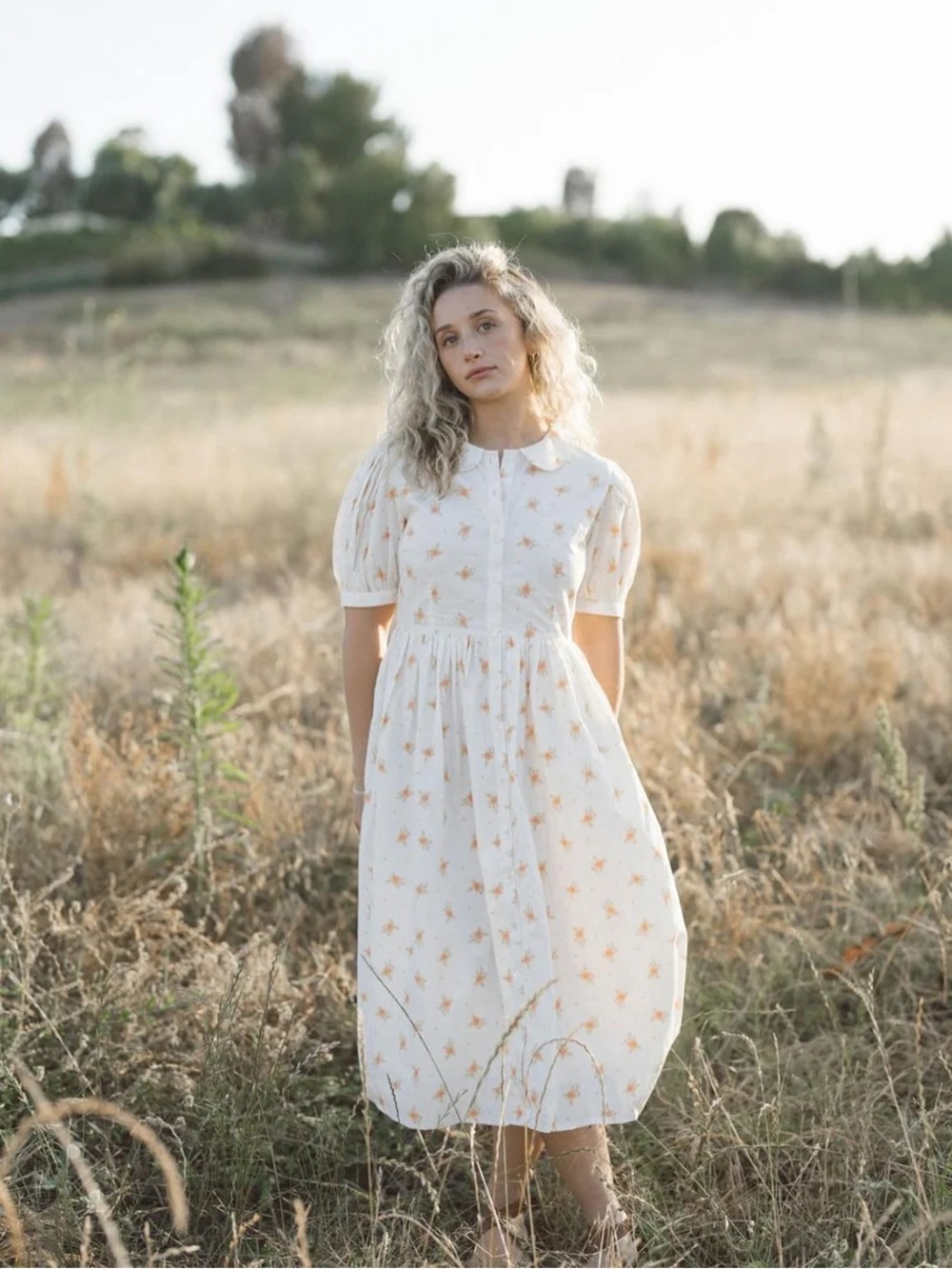 Wilder Rosebud Cottage dress xs